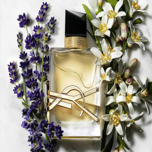 عطر ایو سن لورن لیبر اینتنس | Yves Saint Laurent Libre Intense