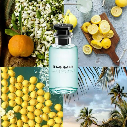 عطر لویی ویتون ایمجینیشن | Louis Vuitton Imagination
