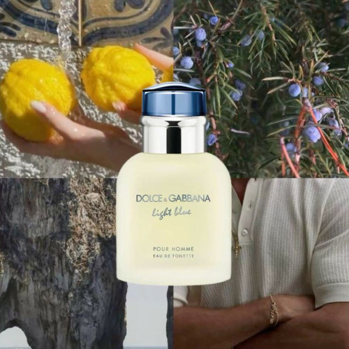 عطر دولچه گابانا لایت بلو | Light Blue