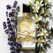 عطر ایو سن لورن لیبر اینتنس | Yves Saint Laurent Libre Intense