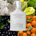 عطر کرید سیلور مانتین واتر (سیلور مانتن) | Creed Silver Mountain Water