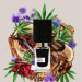 عطر بلک افغان ناسوماتو | Nasomatto Black Afgano